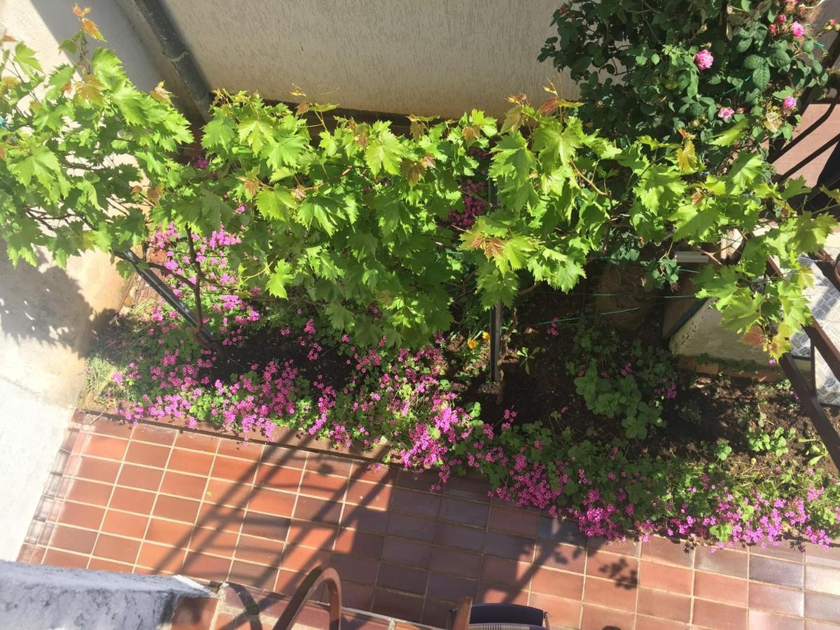 Apartments Porec Beach Area Simo ภายนอก รูปภาพ
